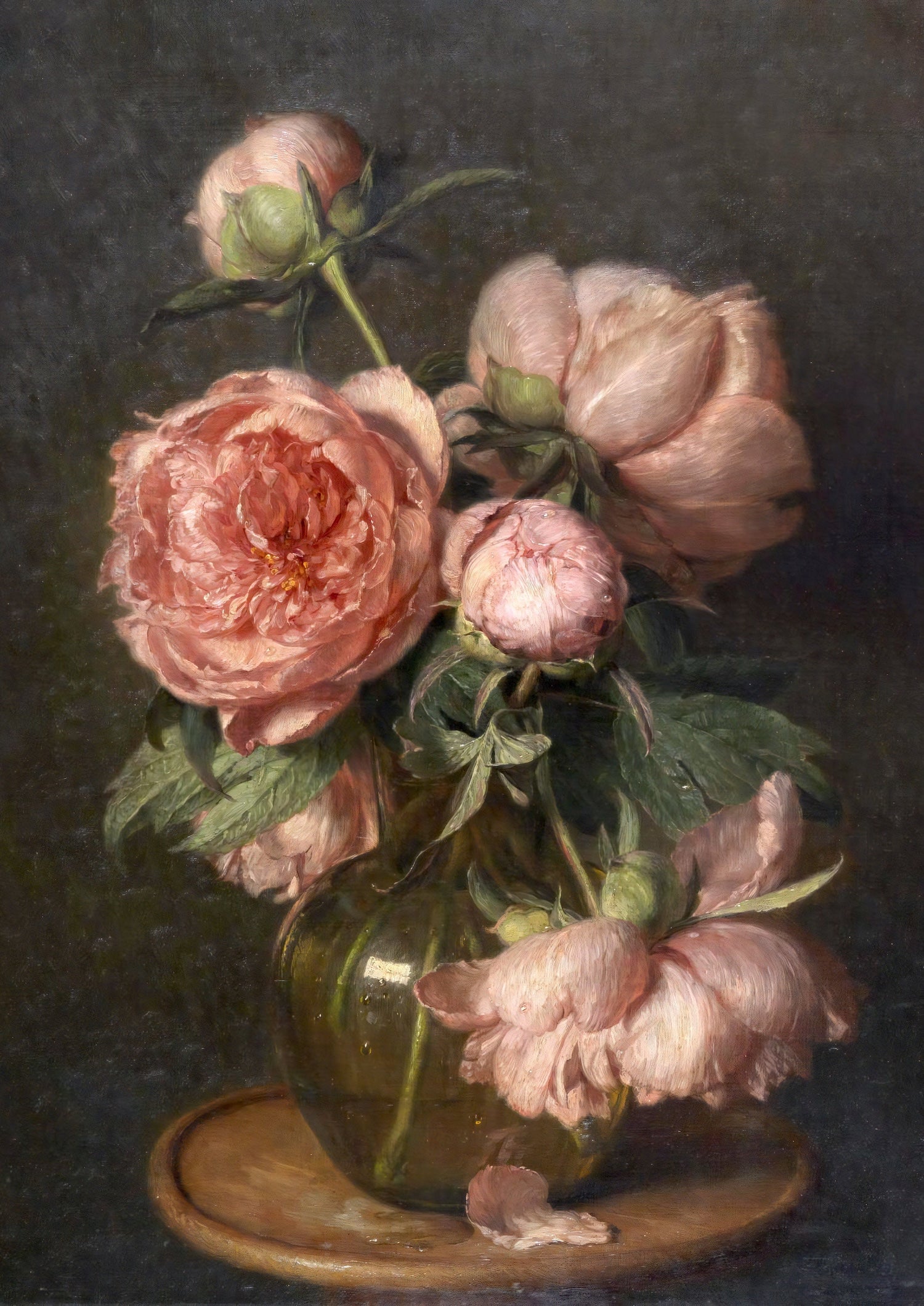 Flowers & Still Life