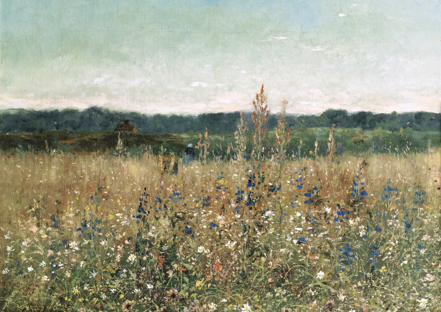 Landscape & Nature
